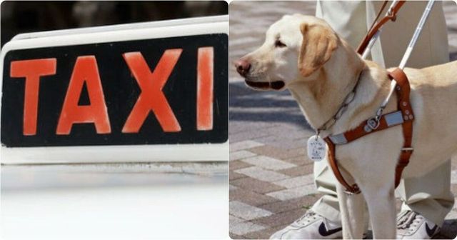 'Niente cani sul mio taxi', non vedente lasciata a piedi a Pescara