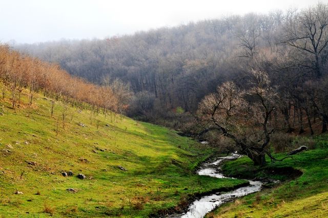Corpurile de apă vor fi atribuite persoanelor fizice și juridice doar în folosință, nu și în proprietate