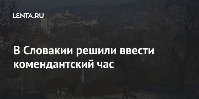 Власти Словакии введут комендантский час и обяжут население носить респираторы