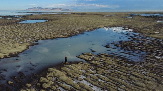 Marele Lac Sărat va dispărea în 5 ani, fără o intervenție de urgență