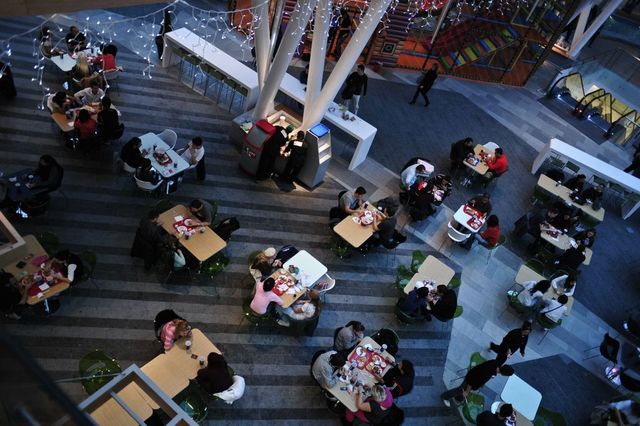 Toate mall-urile din România obligate de ANPC să facă deratizare de urgență