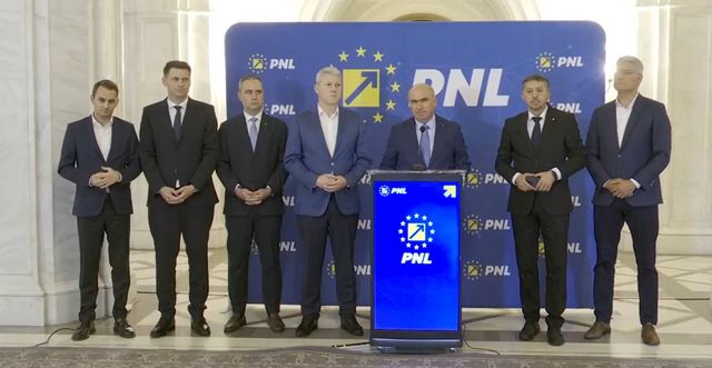 Viitorul guvern va avea cinci vicepremieri