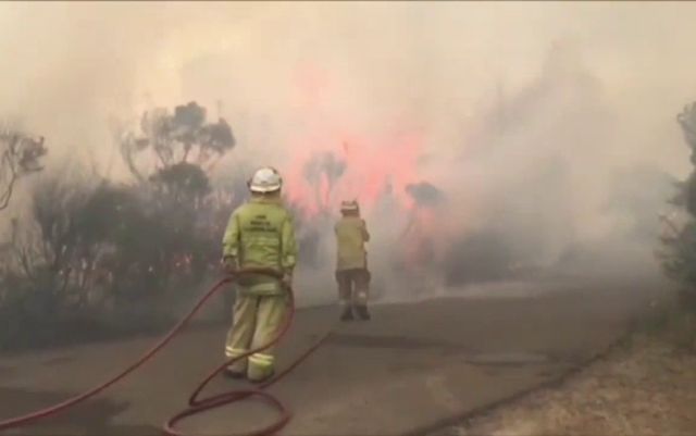 Fumul provocat de incendiile din Australia ar putea face înconjurul lumii