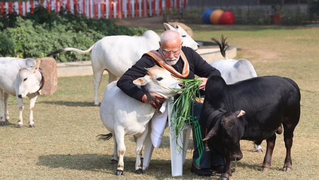 Cow not an animal for them: PM Modi takes a swipe at animal lovers, and more