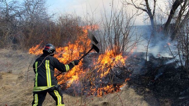 Peste 90 de focare de vegetație uscată au fost lichidate de către pompieri. Pe ce suprafață s-a extins focul