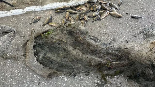 Caz de braconaj piscicol, în zona lacului Manta
