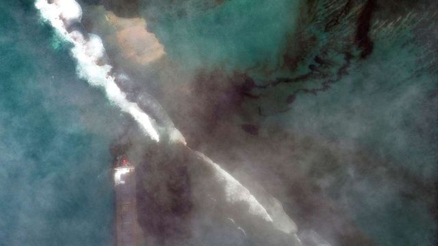 Mauritius declares environmental emergency as oil spill from Japanese ship spells doom for marine life in Indian Ocean