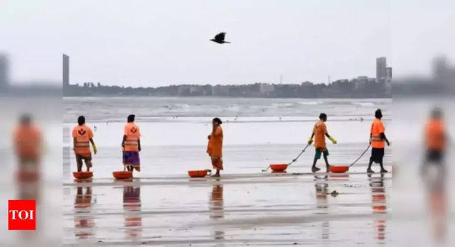 In a first, eight Indian beaches recommended for Blue Flag International eco-label