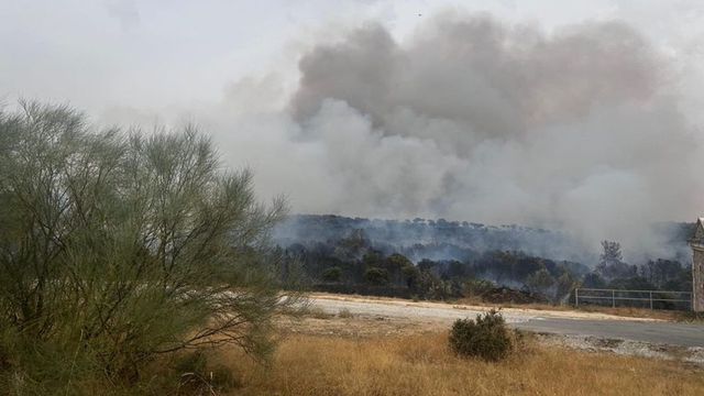 Declarado un incendio en el municipio madrileño de Colmenar Viejo