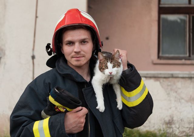Pompierii din Giurgiu au scos o pisică dintr-o casă cuprinsă de flăcări | Felina a intrat înapoi prin foc pentru a-și salva puii