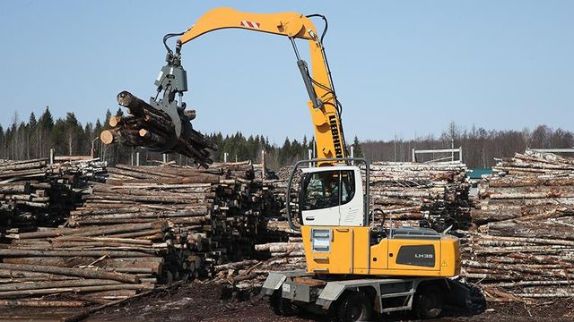 Школы и больницы в России хотят строить из дерева