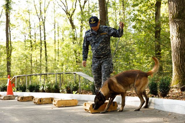 Serviciul Vamal a organizat cea de-a patra ediție a Competiției echipelor canine