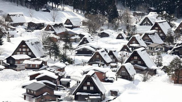Un oso ataca y hiere a un turista español en Japón