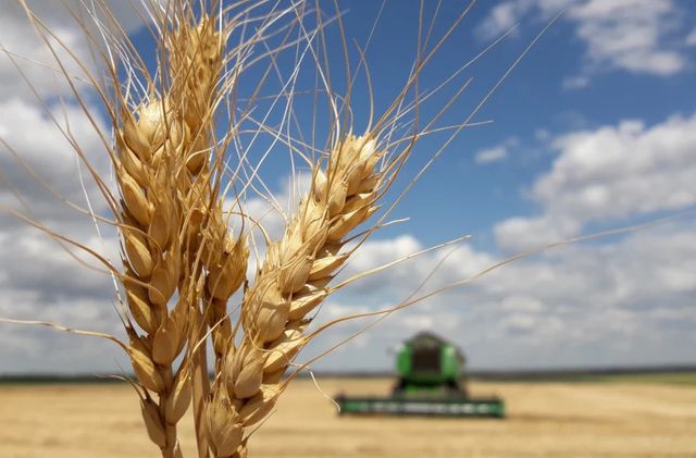 Comisarul european pentru Agricultură cere prelungirea restricțiilor la importurile de cereale din Ucraina