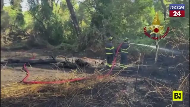 Pescara, incendio nella Pineta Dannunziana
