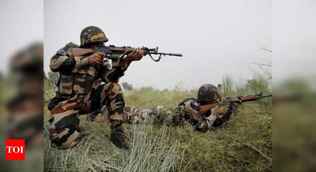 Pakistan Army lobs mortars in Poonch, 2 Indian Army porters killed