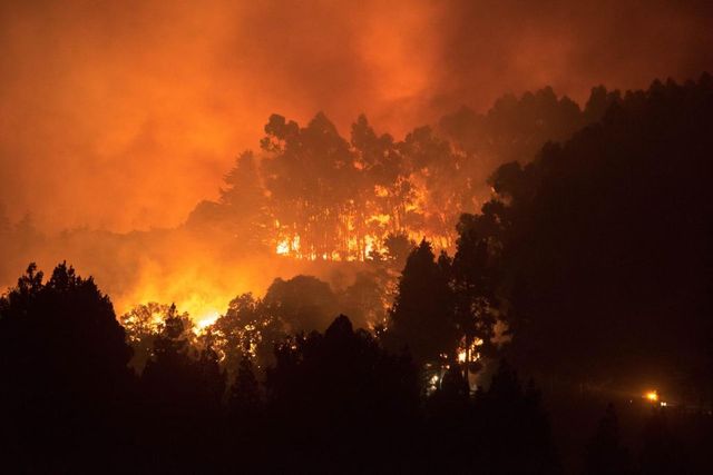 Incendio Gran Canaria, 5mila evacuati