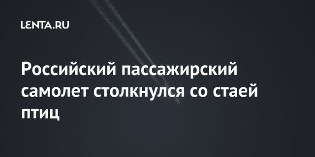 Российский пассажирский самолет столкнулся со стаей птиц