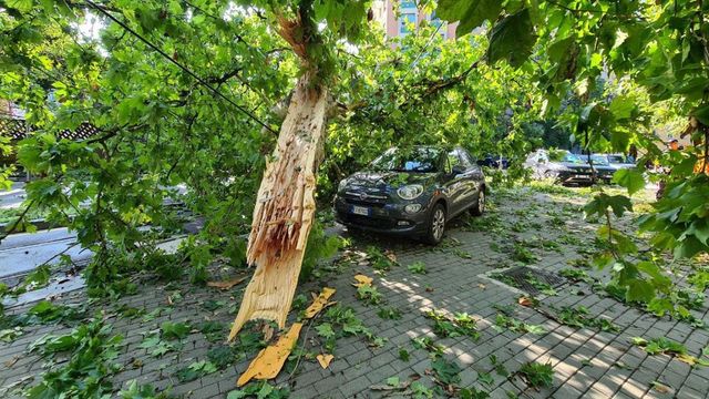 Rengeteg kárt okozott a pénteki nagy vihar Budapesten és Pest vármegyében