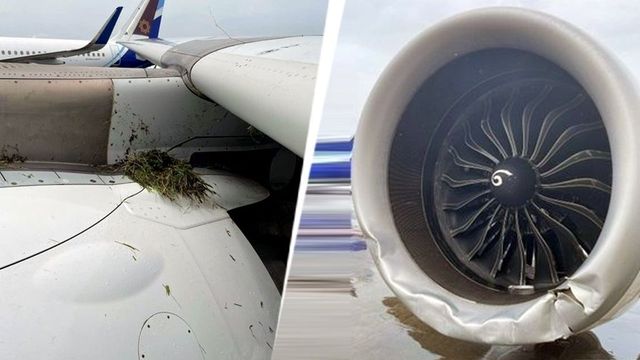 Air India flight from Kochi veers off runway in Mumbai amid heavy rain