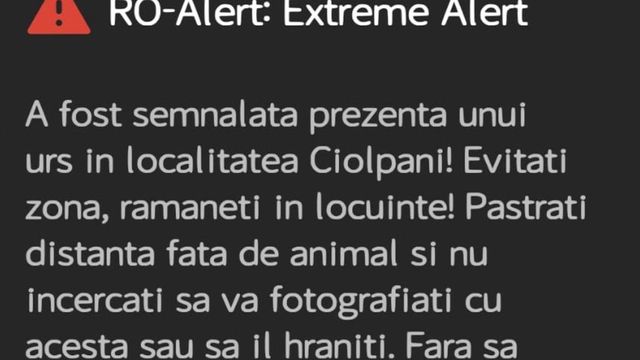 Avertizare RO-Alert în Ilfov, după ce un urs a fost văzut în pădurea Scroviștea, la 30 de kilometri de București