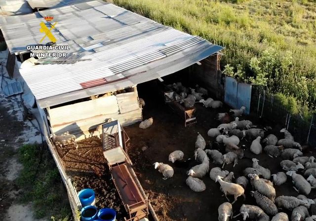 La Guardia Civil desmantela una red que vendía carne sin control sanitario a restaurantes de Madrid