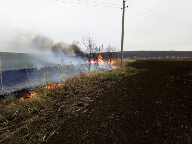 În doar 24 de ore flăcările au afectat 435 de hectare de teren; Care au fost cele mai dificile intervenții ale pompierilor
