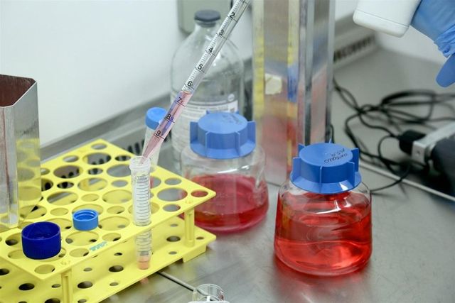 Premiati in Usa 17 ricercatori italiani per studi sui tumori