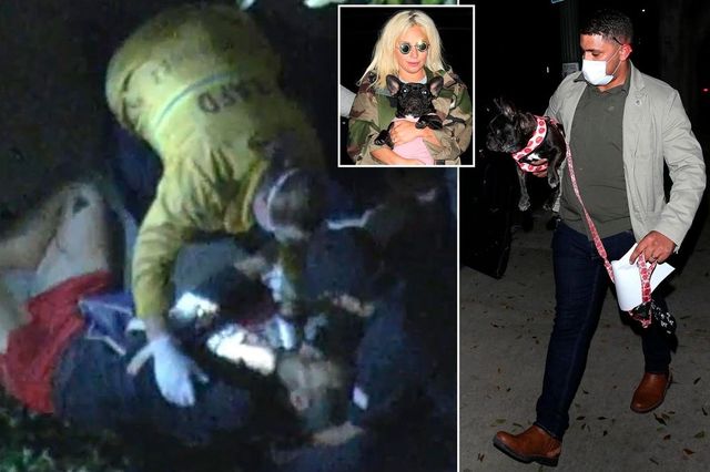 Bărbatul care plimba câinii lui Lady Gaga a fost împușcat, iar animalele au fost furate