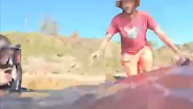Australia, 20enne italiano attaccato da uno squalo e perde una gamba