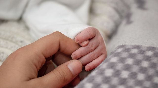 Sorina Pintea: 140 de maternități vor fi dotate cu incubatoare