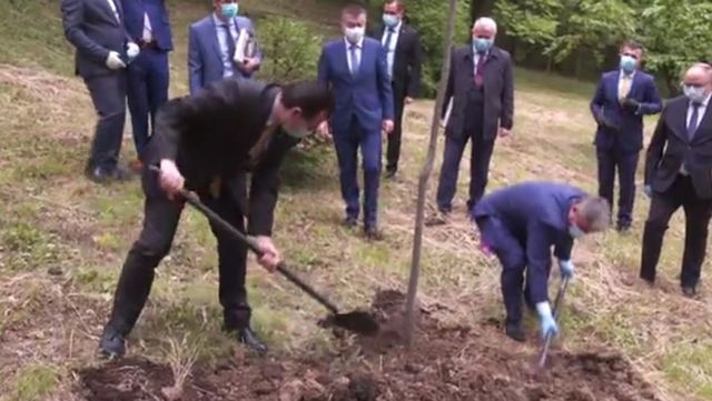 Ludovic Orban a plantat un copac deja plantat. Imaginile au devenit virale