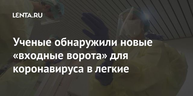 Выявлен новый путь попадания коронавируса в легкие