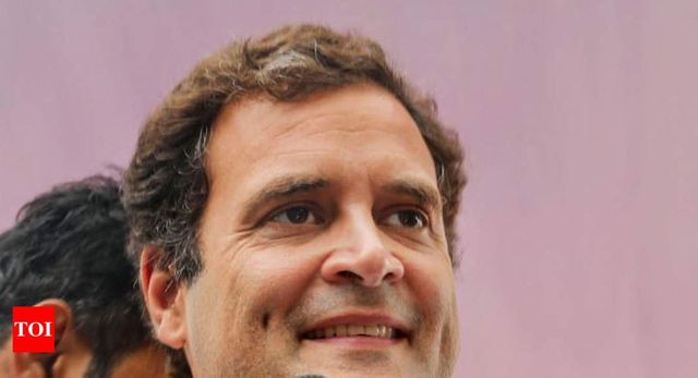 Rahul Gandhi says he will not decide on his successor, Congress will