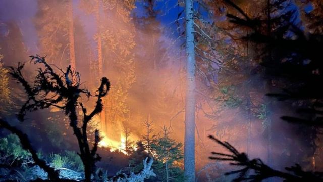 Incendiul de pădure din Munții Gurghiului, zona Lăpușna, s-a extins pe circa 40 hectare