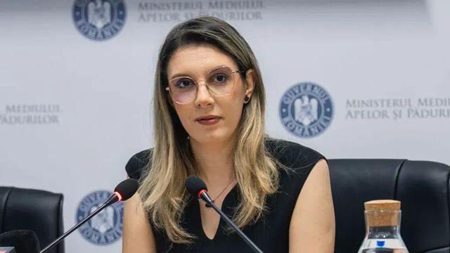 Procedura de angajare a directorului general interimar al Romsilva
