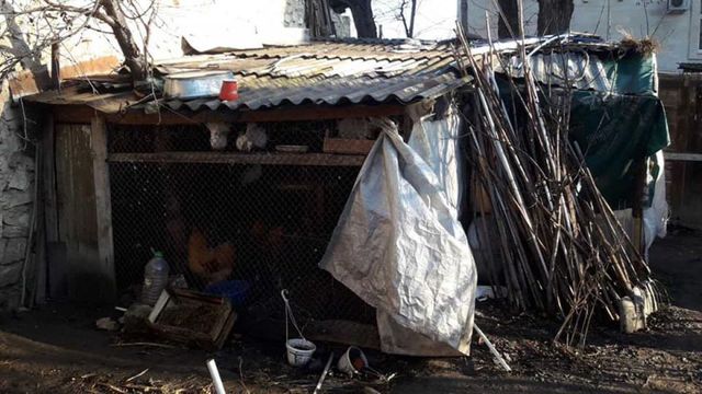 Coteț pentru găini construit în centrul Chișinăului, demontat