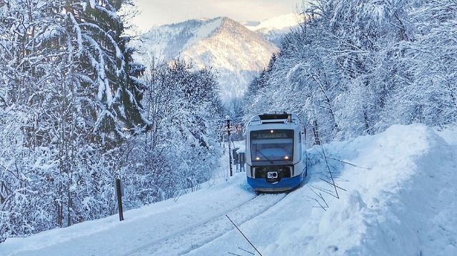 Trenurile Zăpezii îți pot aduce reduceri timp de un an
