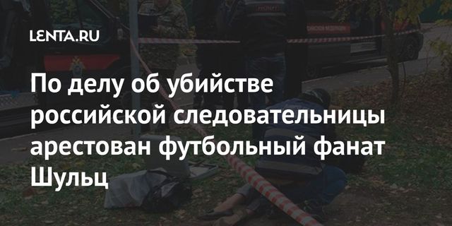 Один из подозреваемых по делу об убийстве следователя Шишкиной задержан в Грузии
