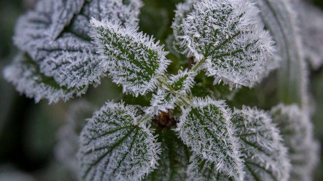 -1,6 fok volt péntek hajnalban