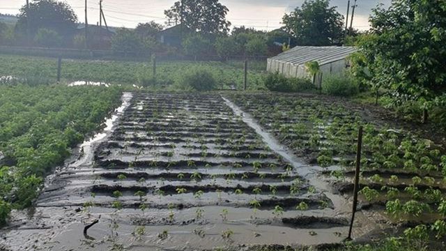Ploaia puternică a inundat zeci de gospodării, a compromis culturile agricole și a distrus străzile din mai multe raioane din Moldova