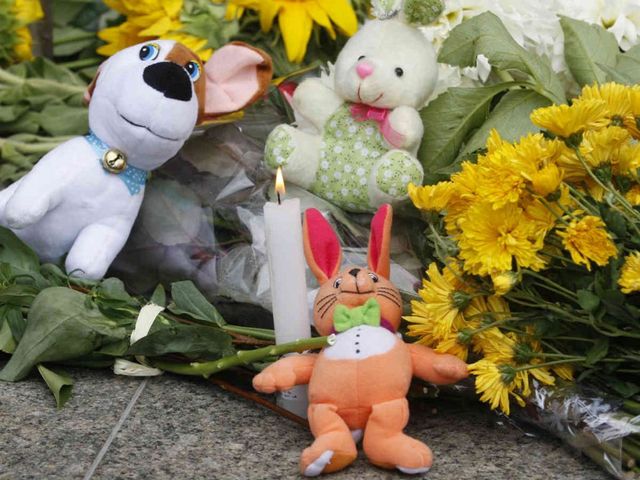 ЕС потребовал от России признать вину в крушении малазийского