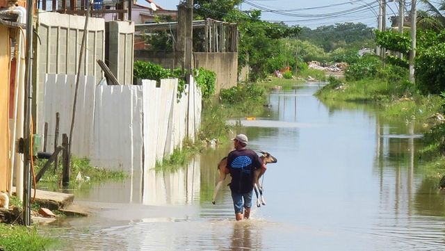 Cel puțin 37 de persoane au murit din cauza furtunilor din Brazilia