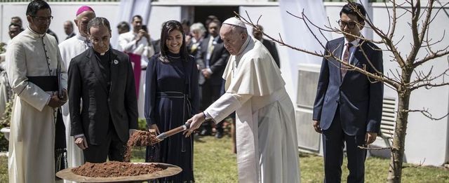 Az erdőpusztítás globális veszélyeire figyelmeztetett Ferenc pápa