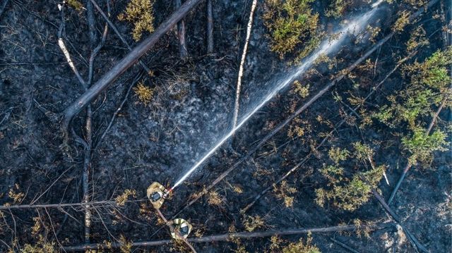 Сибирь и Дальний Восток задыхаются от лесных пожаров