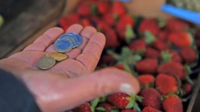 Istat, famiglie sempre più piccole, è solo 36,5% italiani