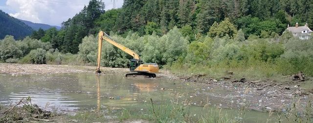 Stare de alertă în comuna Borca, județul Neamț, din cauza buștenilor și cadavrelor de animale aduse de viitură