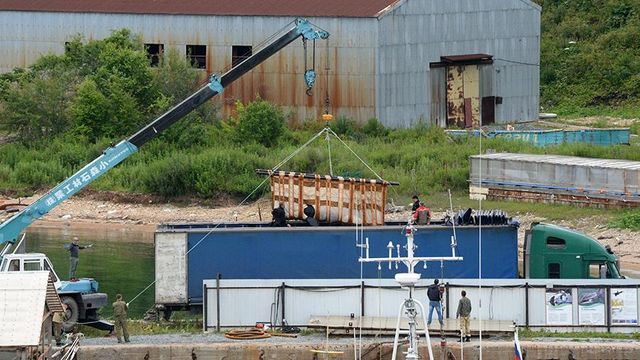 Вторую группу косаток доставили из Приморья в Хабаровский край