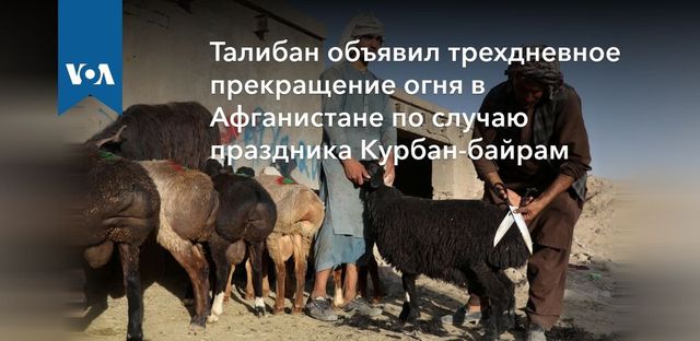 Талибы* объявили трехдневное перемирие на Курбан-байрам