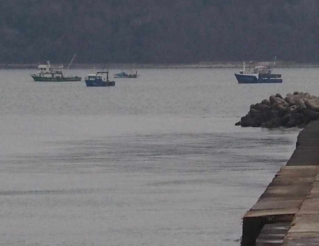 Кметът на Варна омаловажи замърсяването на залива с фекални води, защото и преди било така